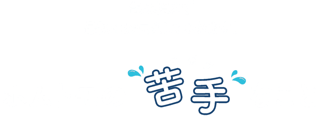 包み隠さず最初にお伝えしておきます、ホムトモのニガテなこと